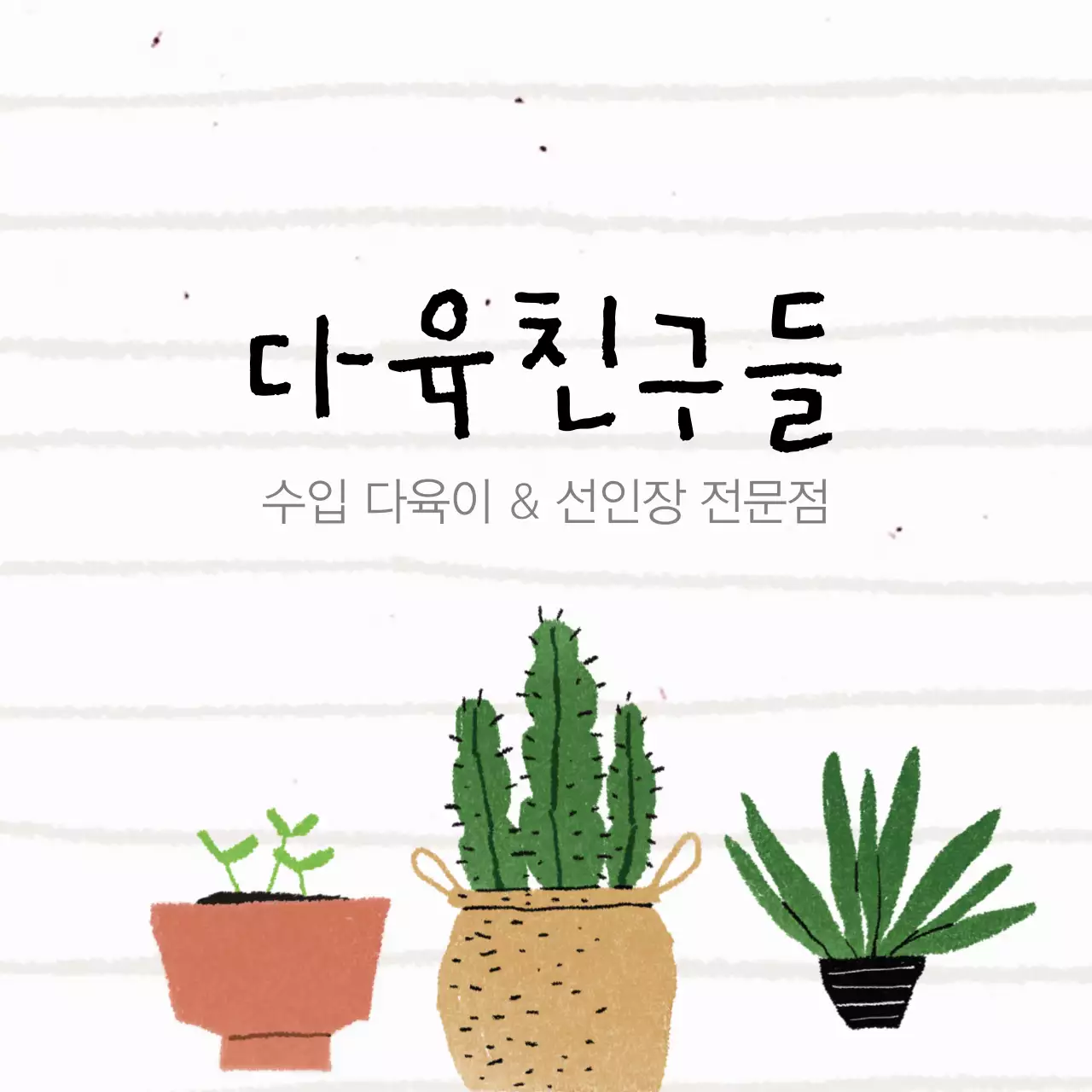 수입 다육이 & 선인장 전문점 행택