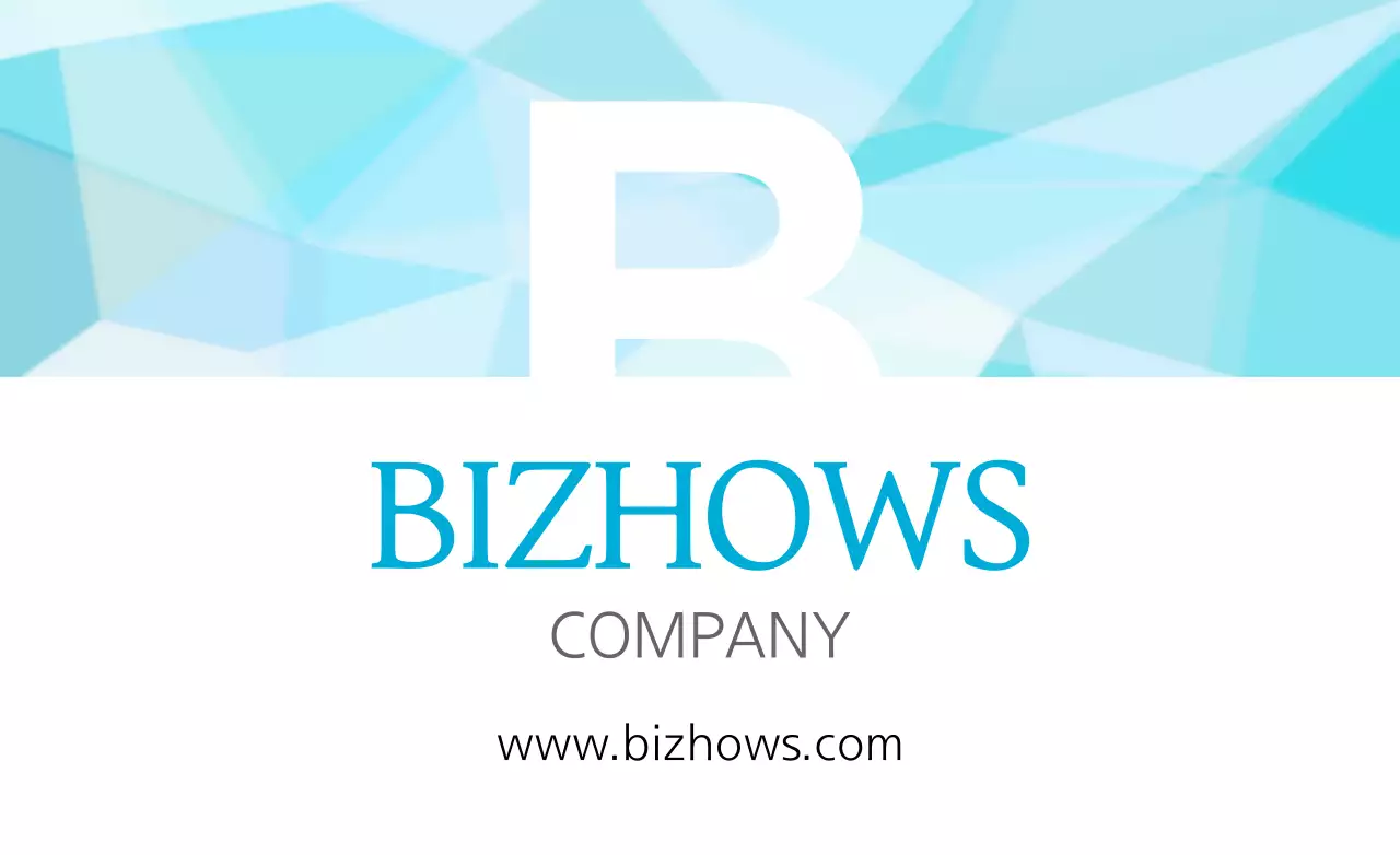 BIZHOWS
