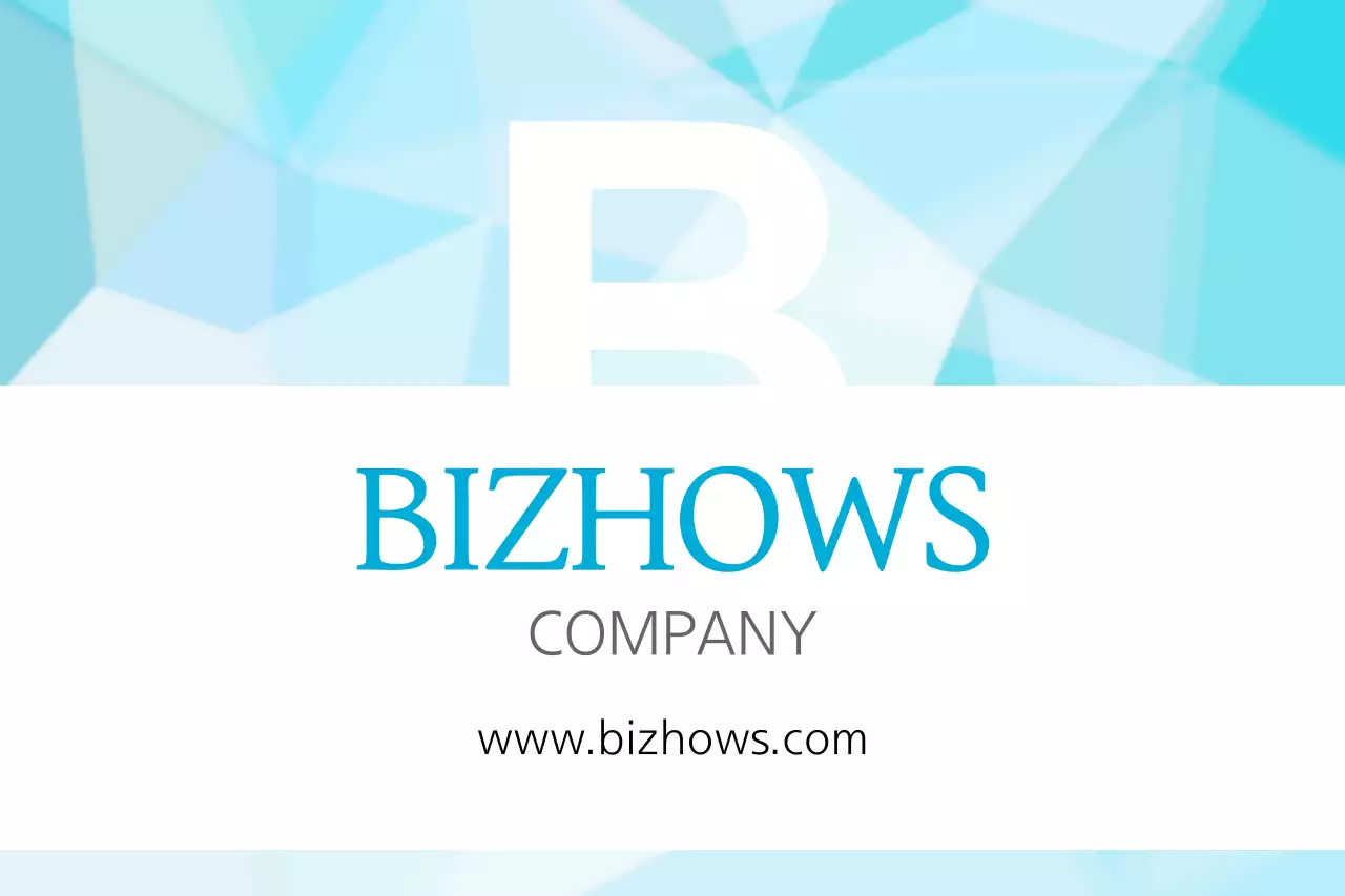 BIZHOWS