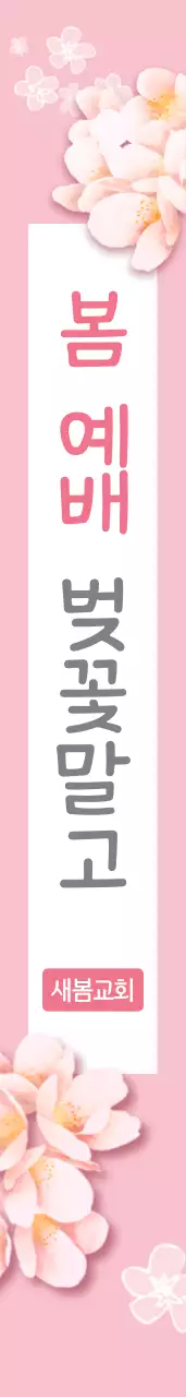 봄예배벚꽃말고