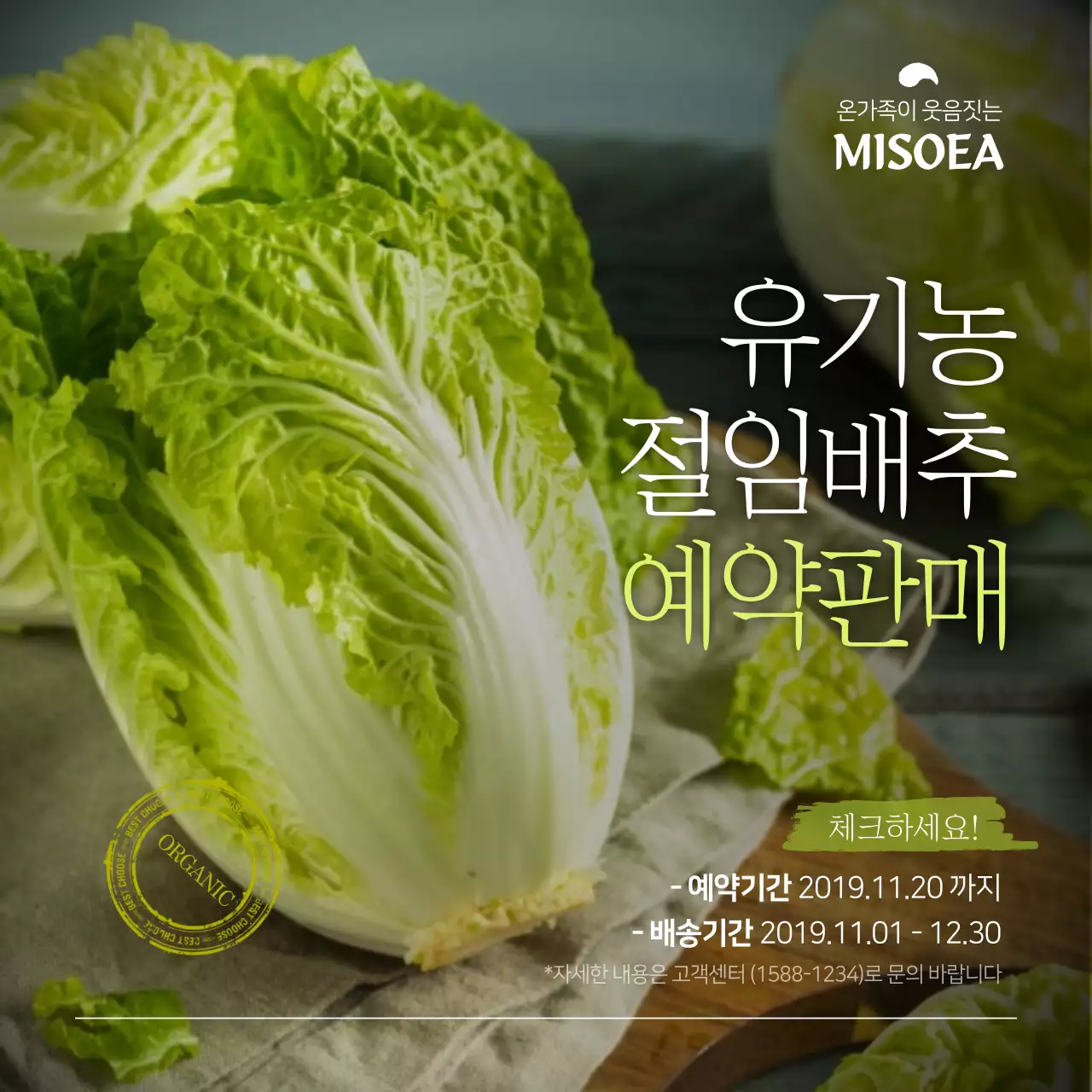 유기농 절임배추