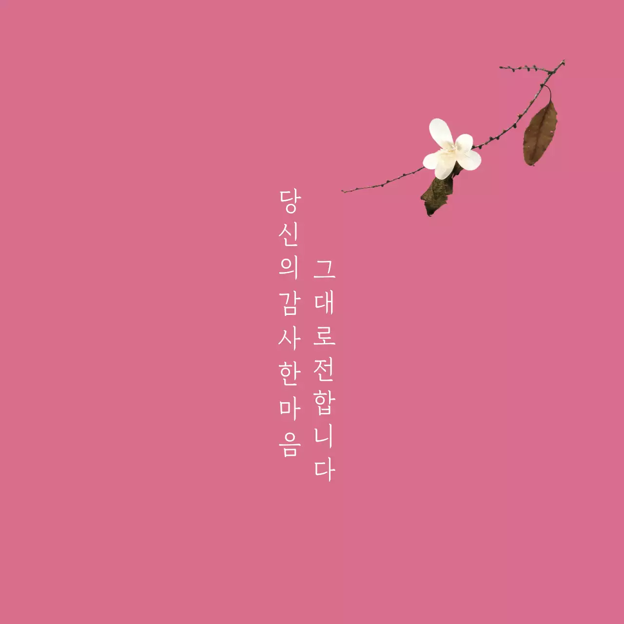 혜 담 떡 집 행택