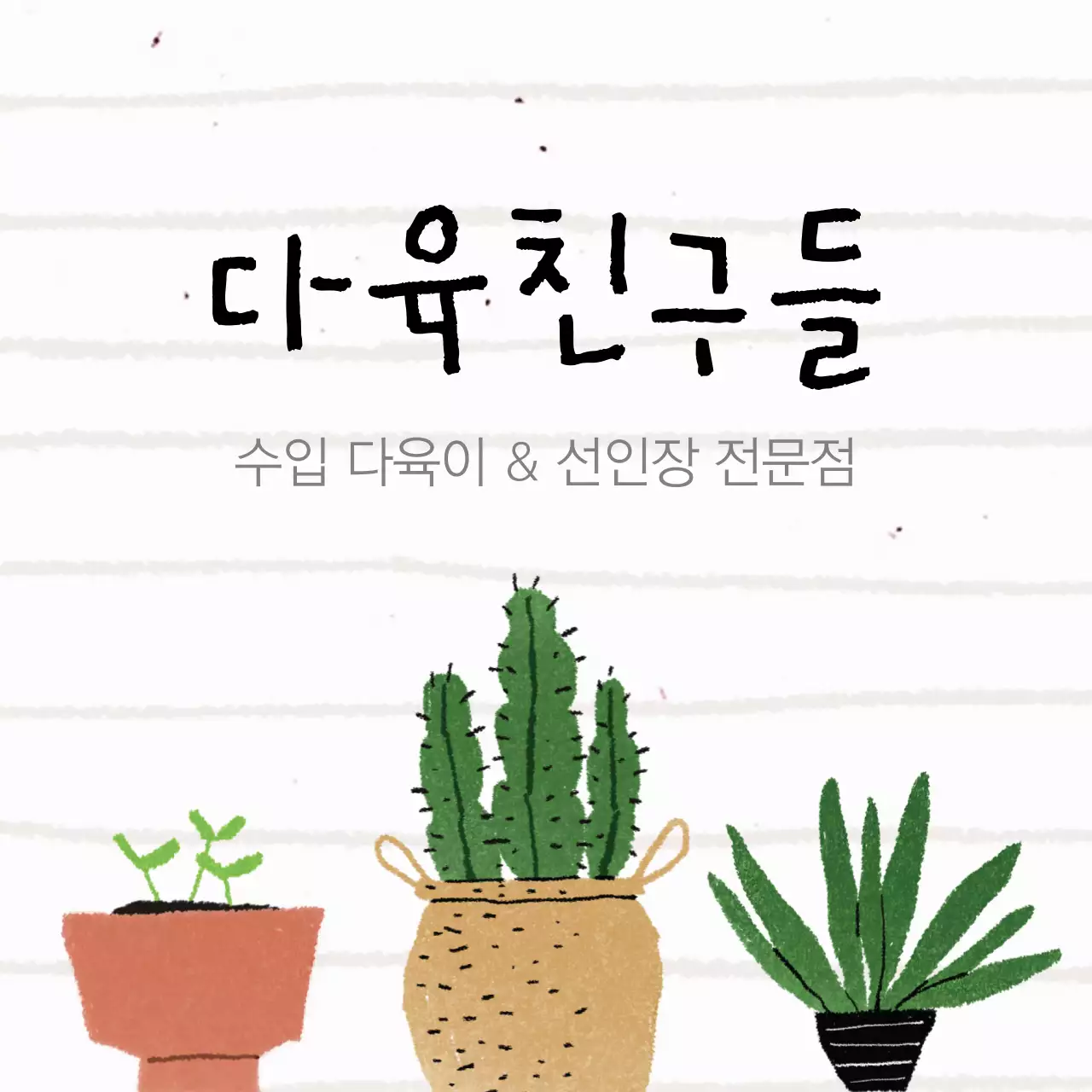 수입 다육이 & 선인장 전문점 행택