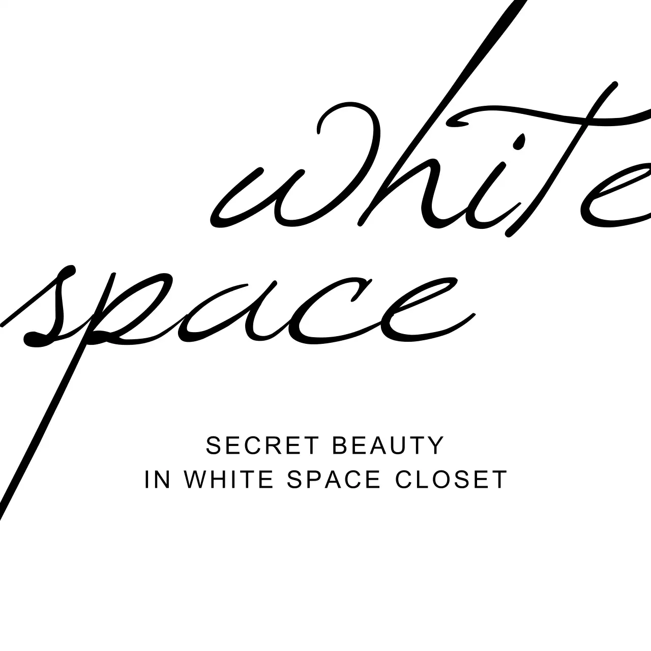 SECRET BEAUTY IN WHITE SPACE CLOSET 행택