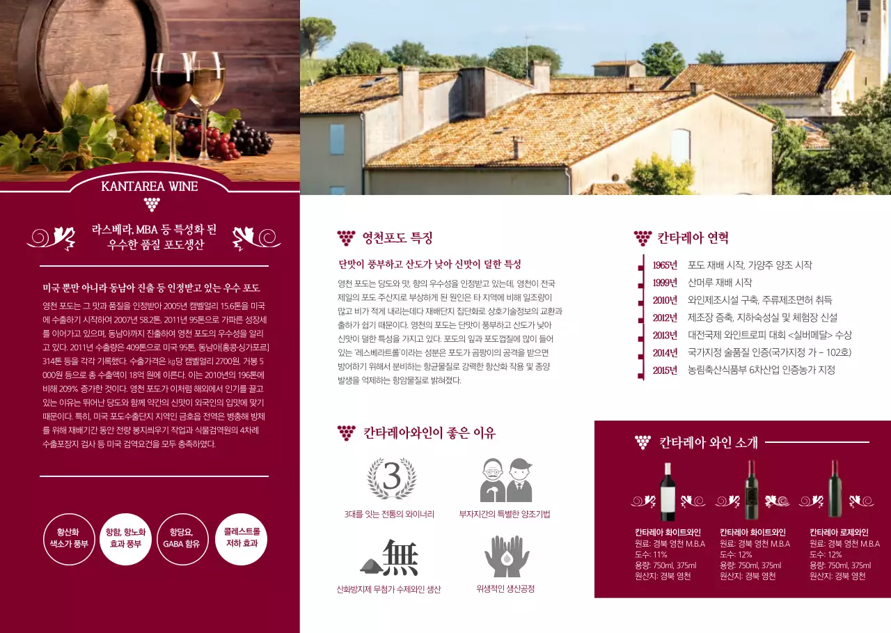 와인 칸타레 리플렛