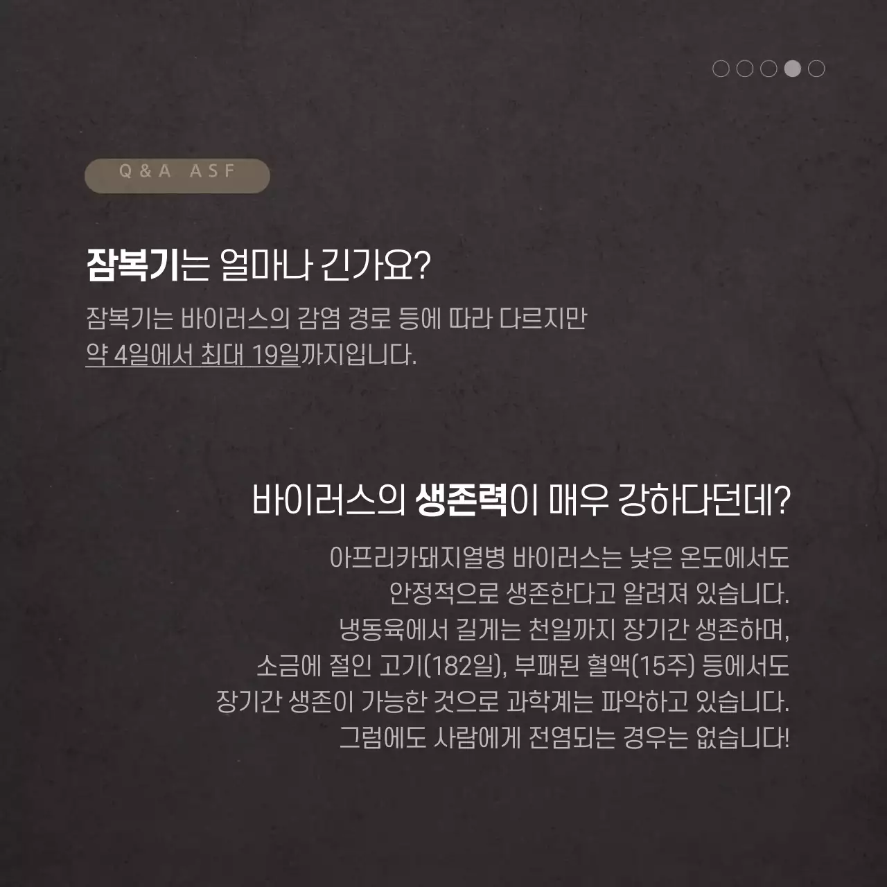 돼지열병 카드뉴스