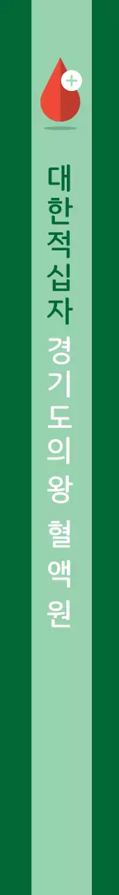 대 한 적 십 자 어깨띠
