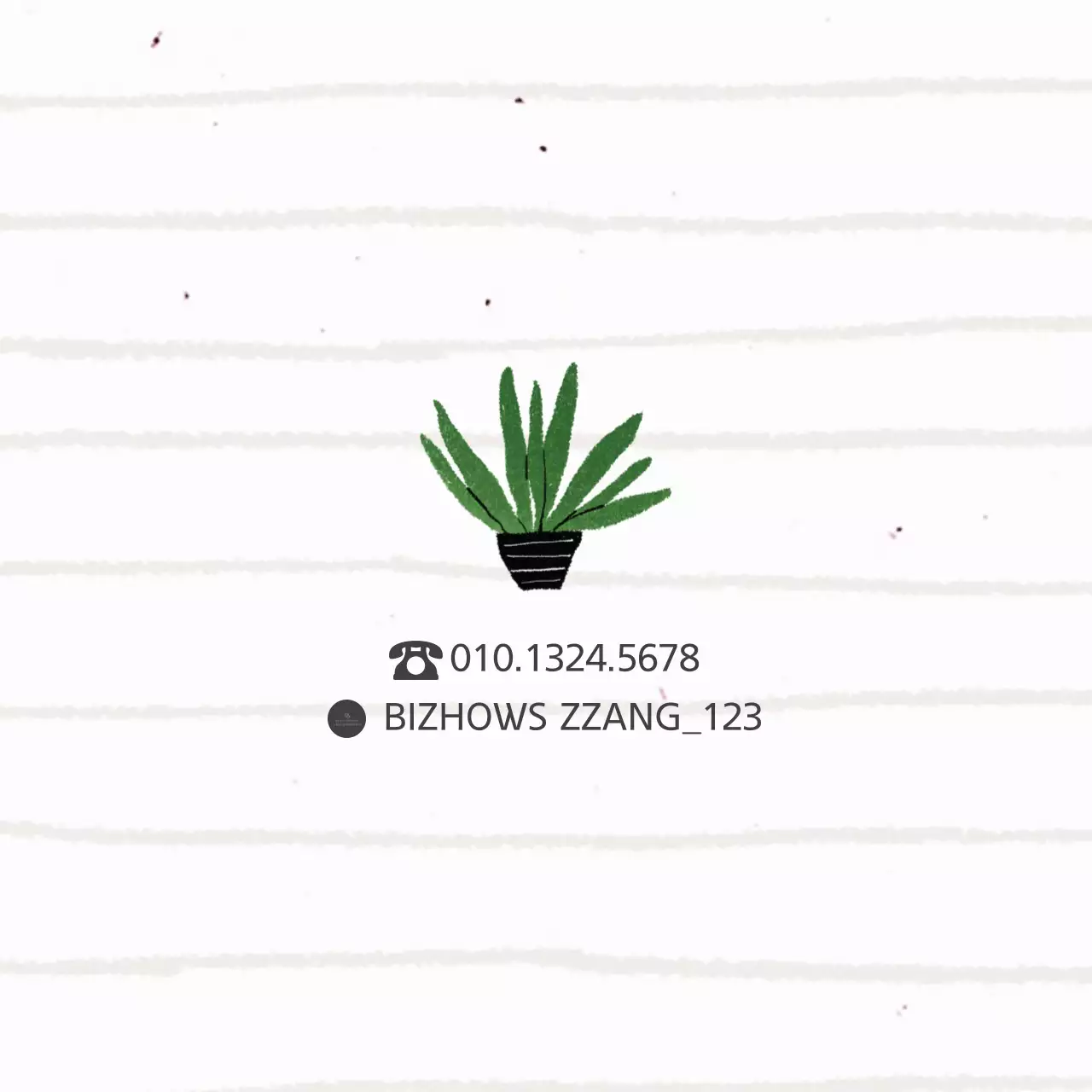 수입 다육이 & 선인장 전문점 행택