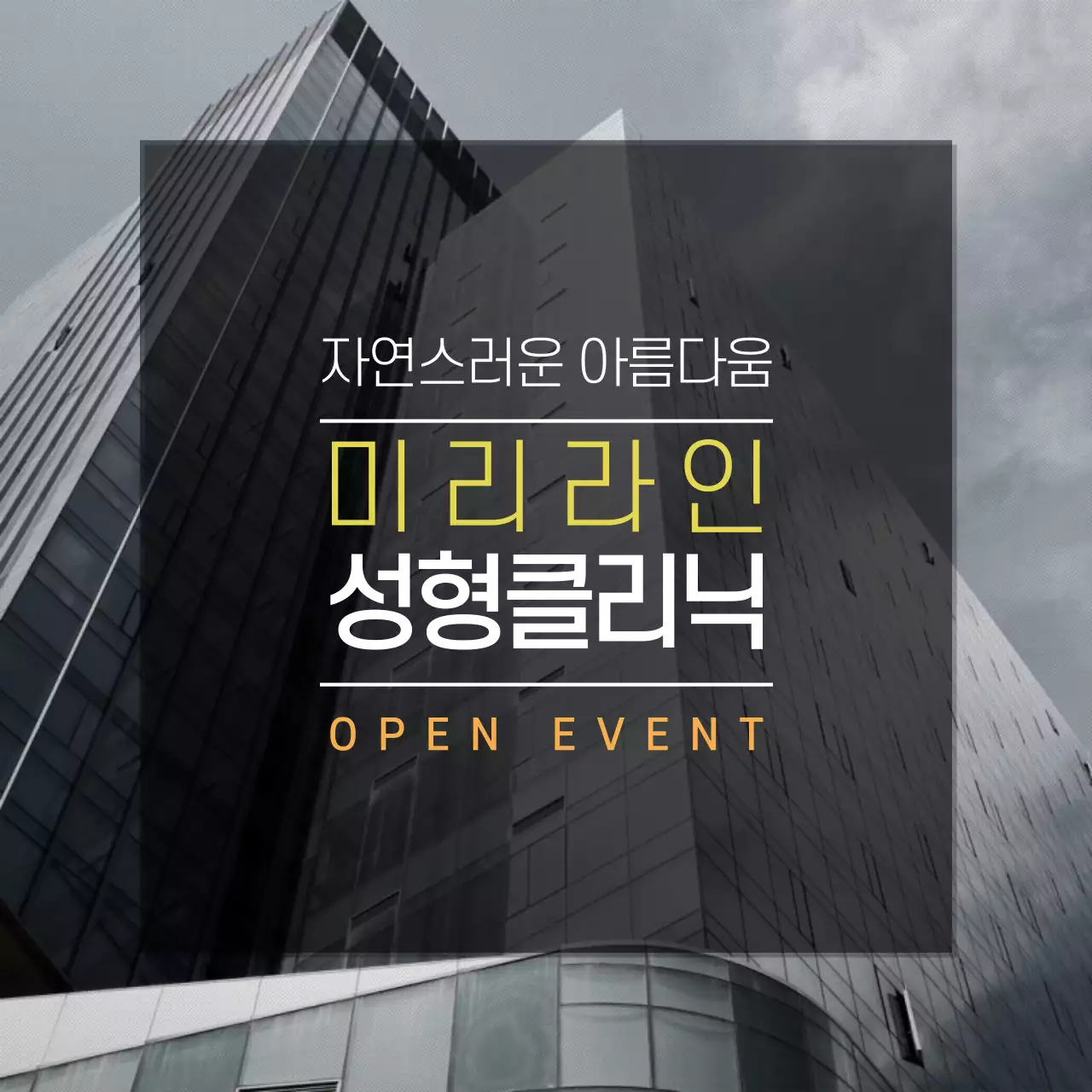 내 얼굴을 디자인하다