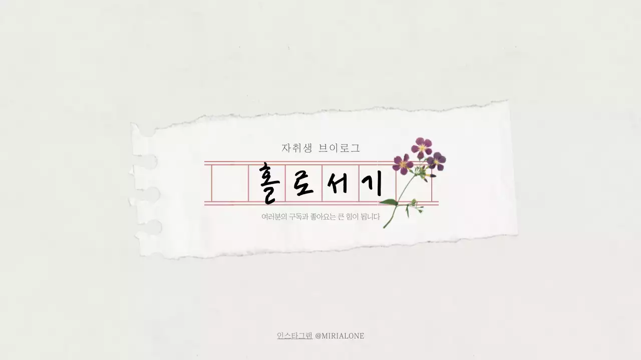 브이로그