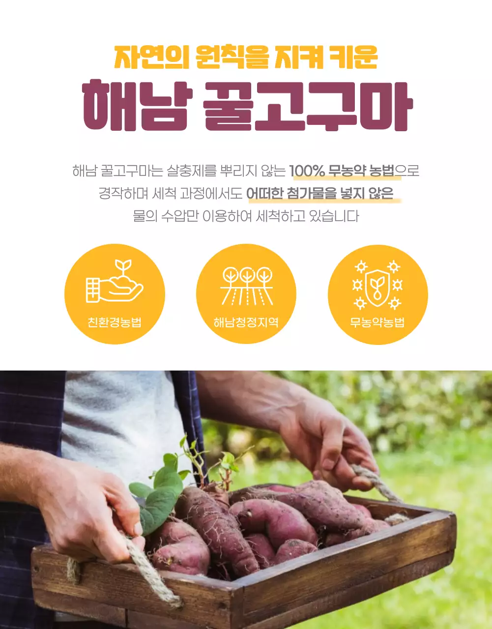 고구마상세페이지