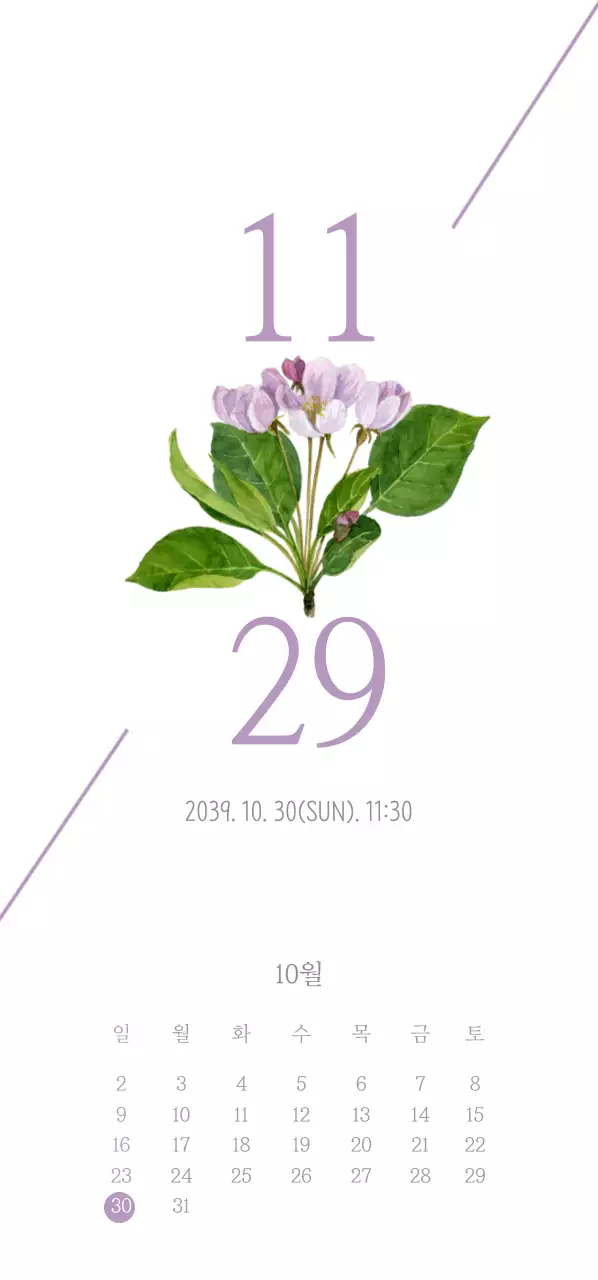 아모르웨딩홀 티켓