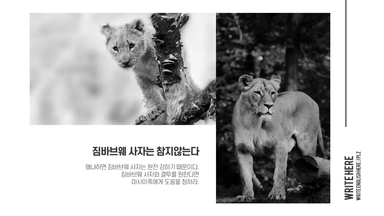 흑백 프레젠테이션