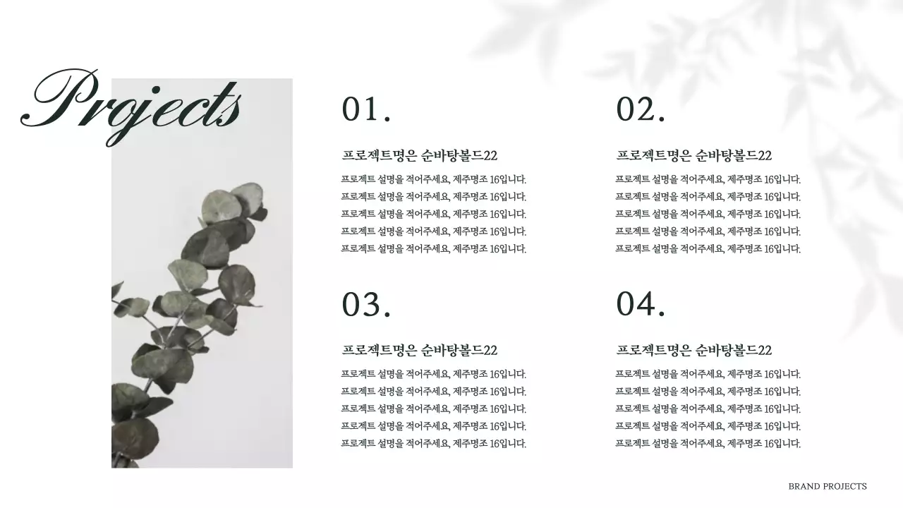 브랜드프레젠테이션