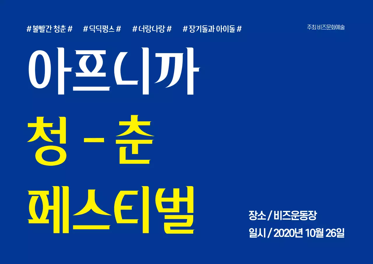 청춘페스티벌_가로포스터