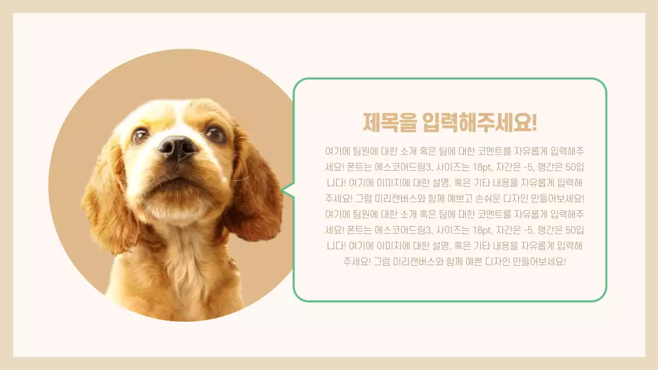 애완동물 프레젠테이션