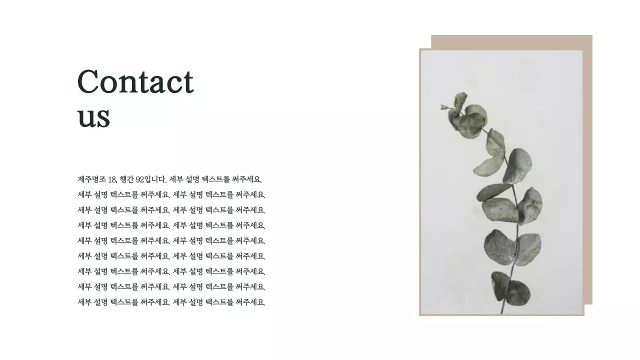 브랜드프레젠테이션