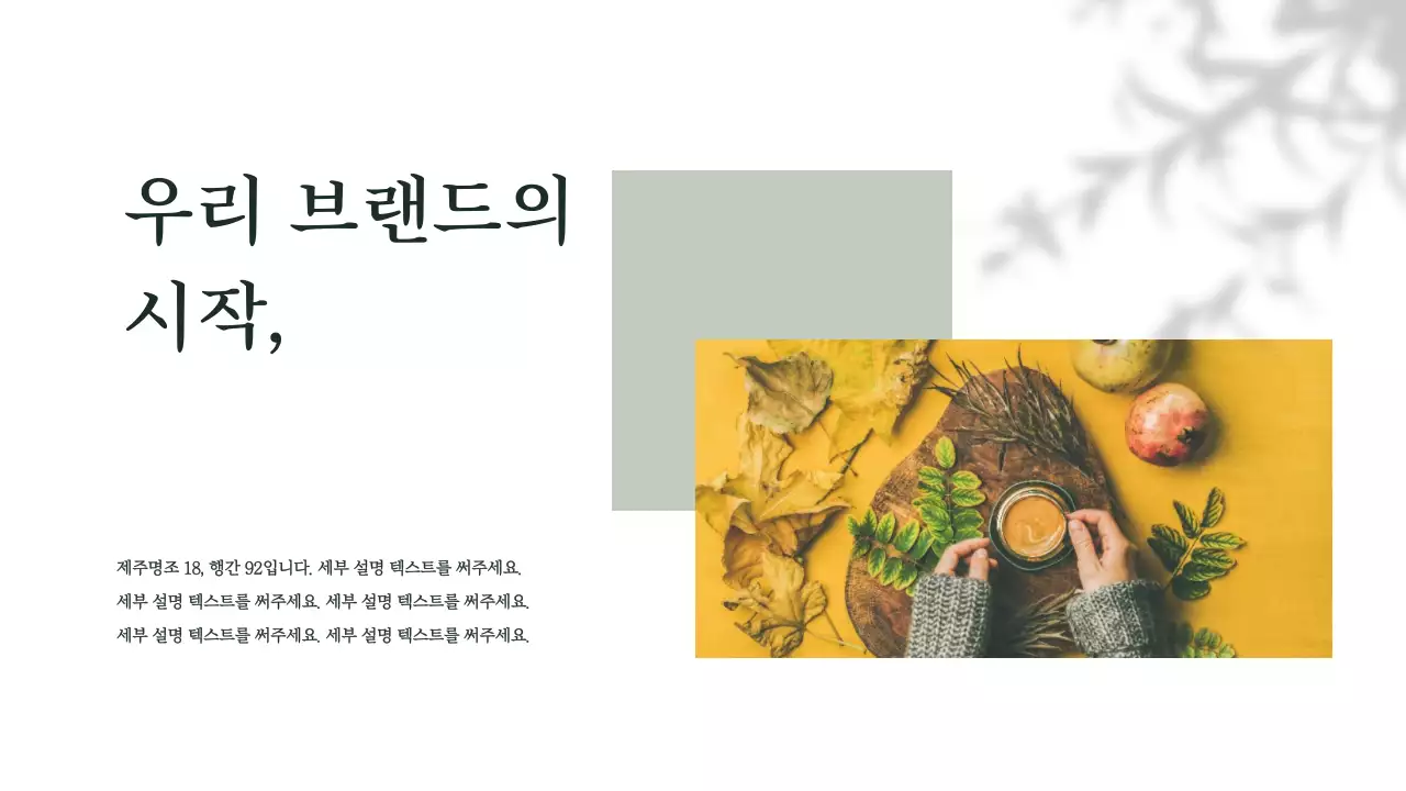 브랜드프레젠테이션