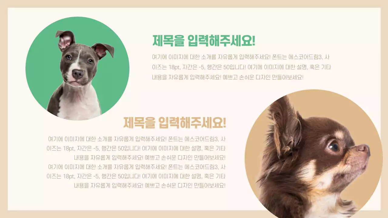 애완동물 프레젠테이션