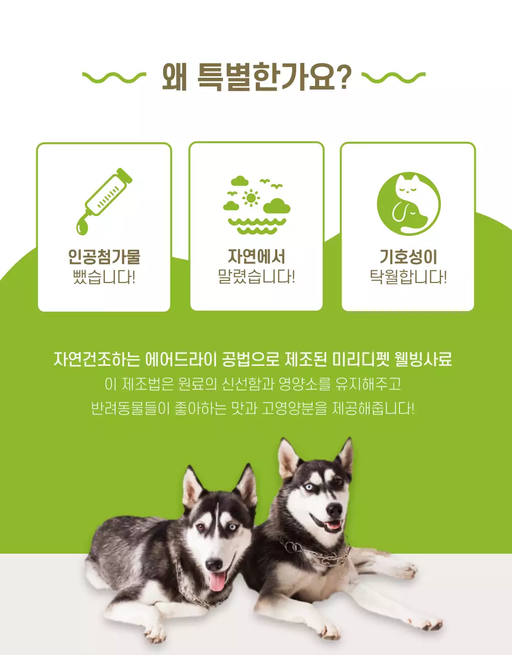 반려동물 상세페이지