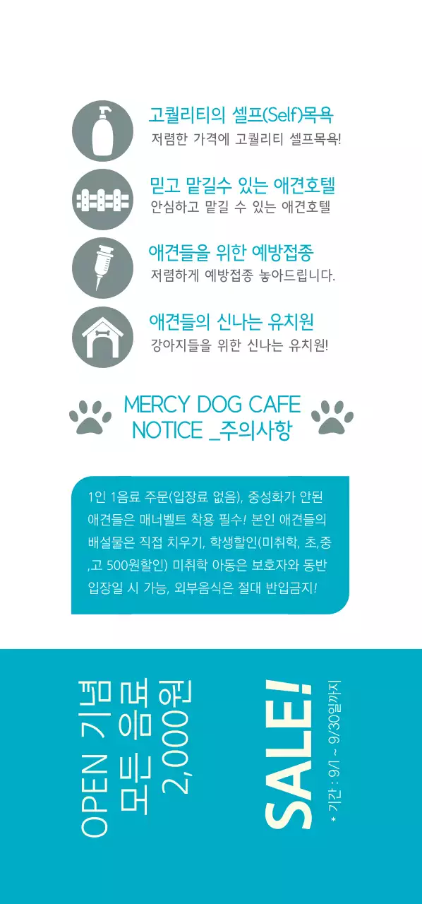 애견카페