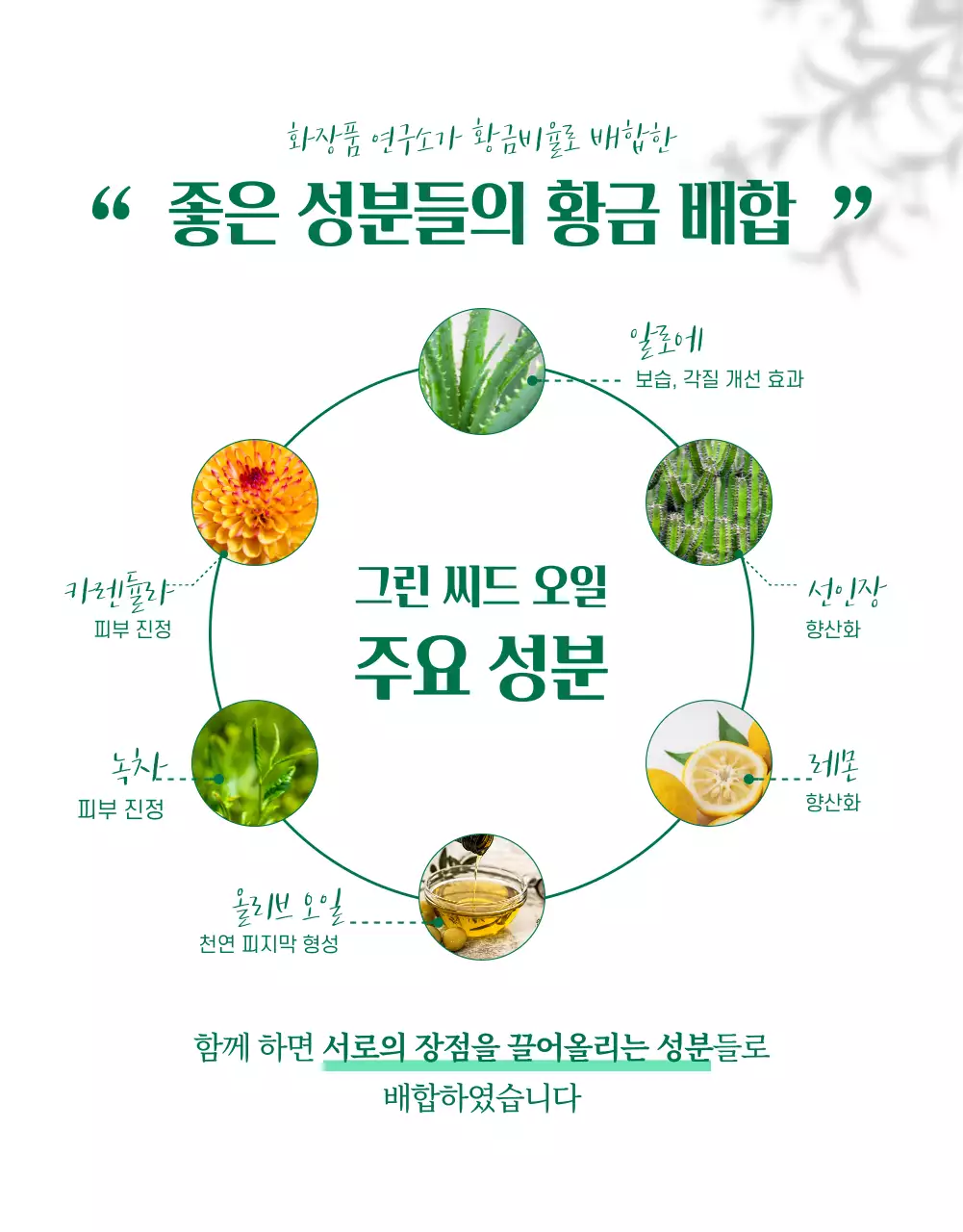와디즈상세페이지_뷰티