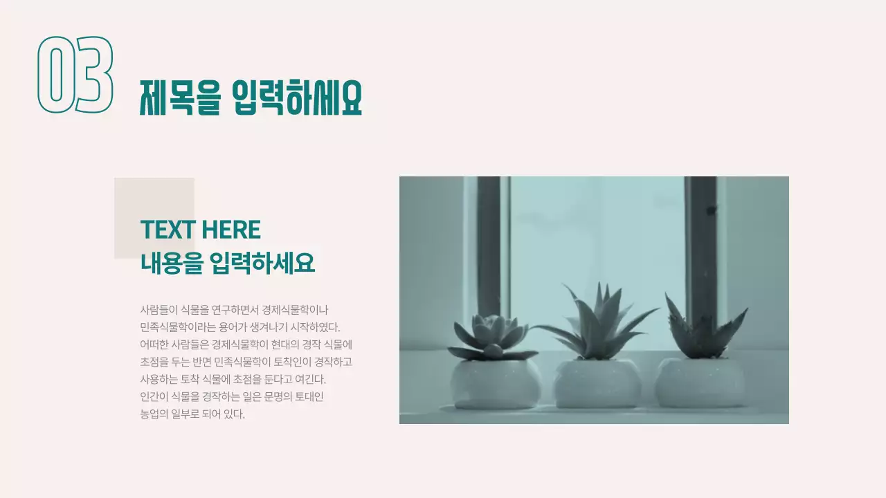 사업보고서용 프레젠테이션