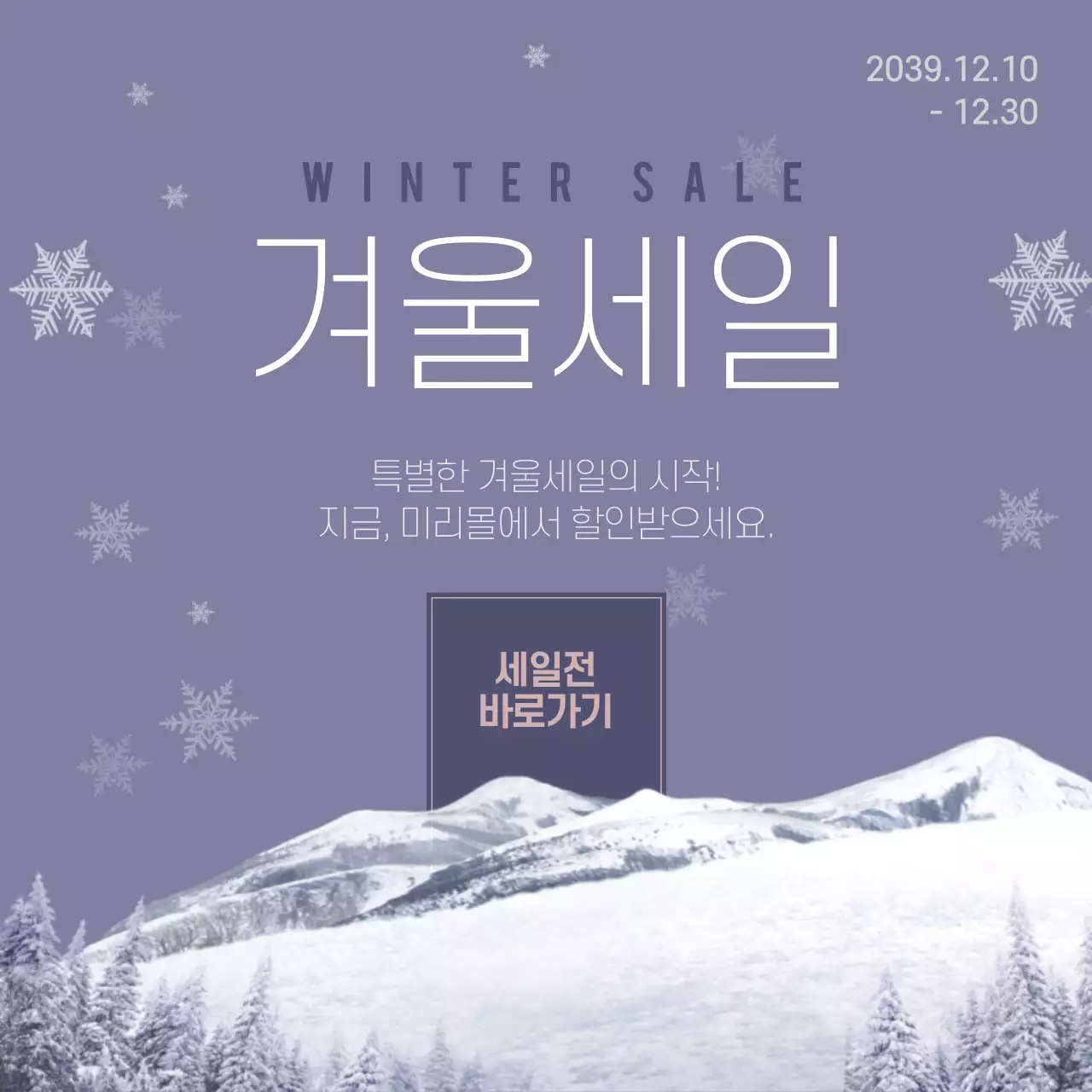 특별한 겨울세일