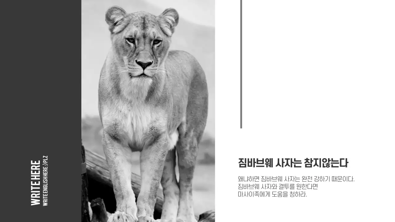 흑백 프레젠테이션