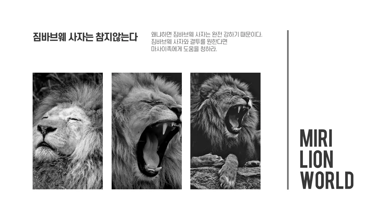 흑백 프레젠테이션