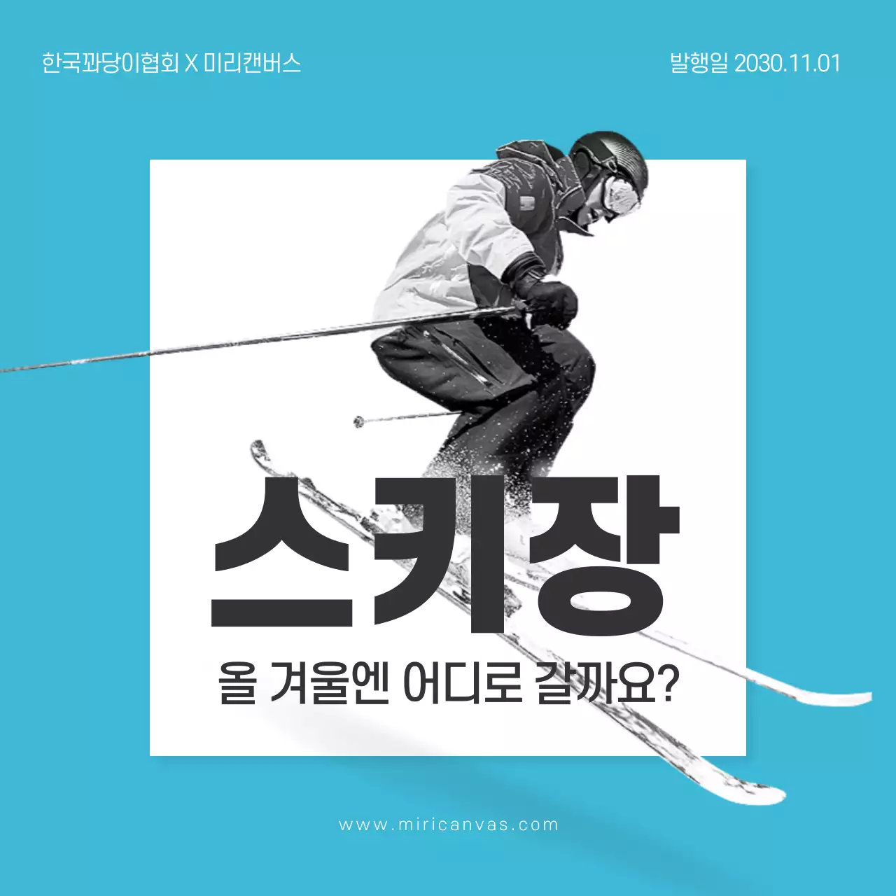 스키장 카드뉴스