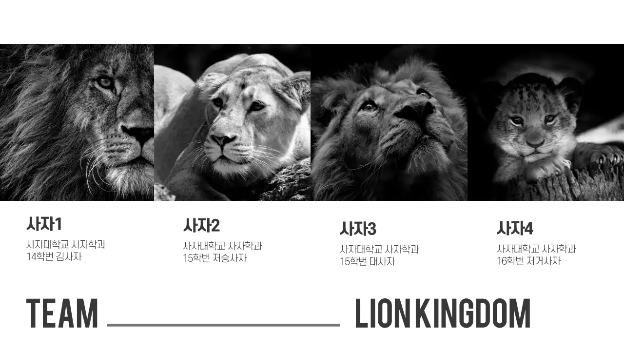 흑백 프레젠테이션