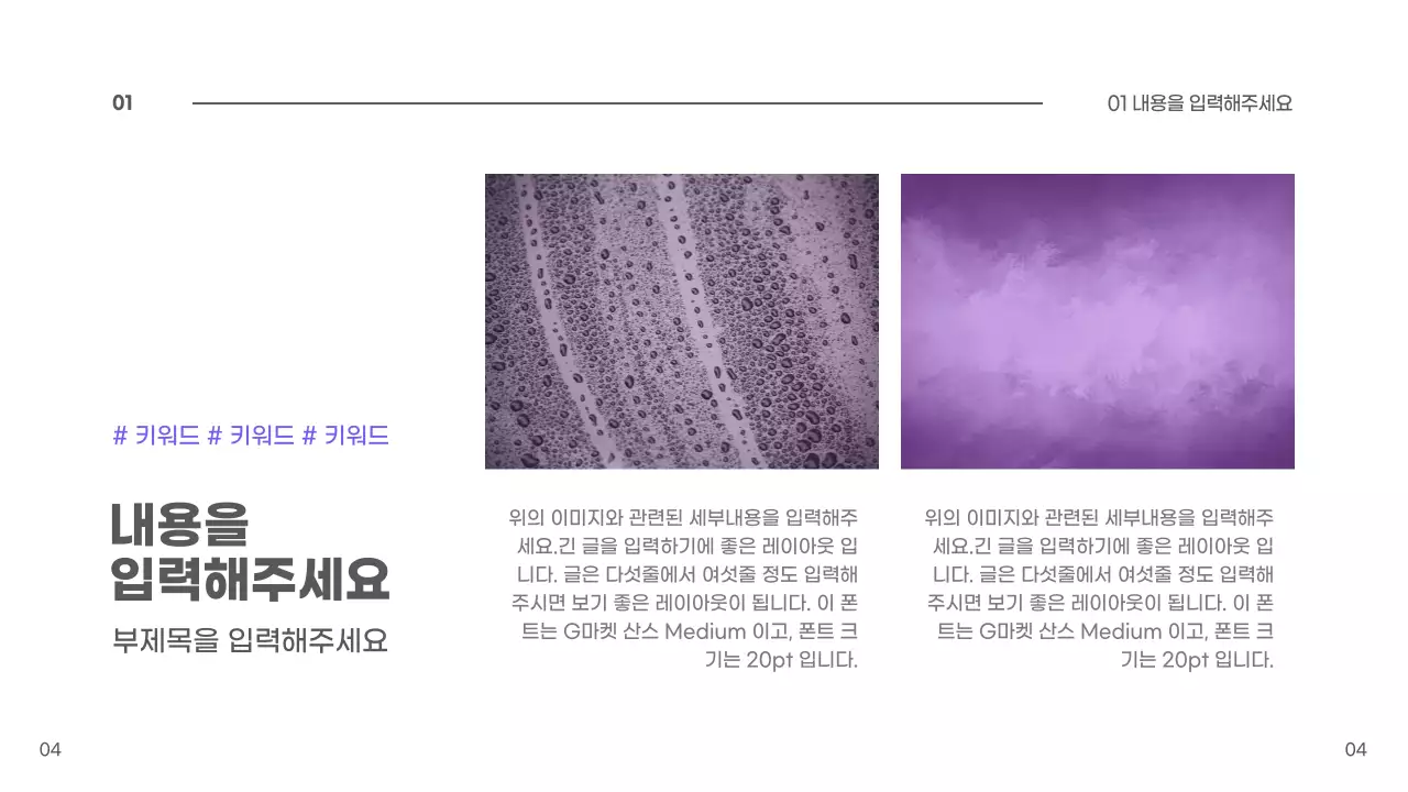 블루베리 프레젠테이션