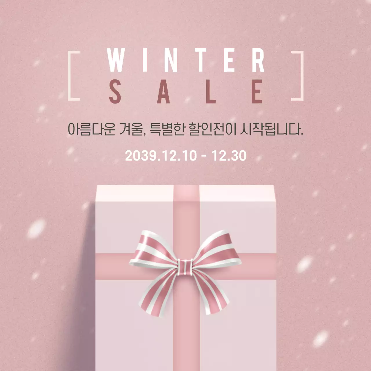 특별한 겨울세일