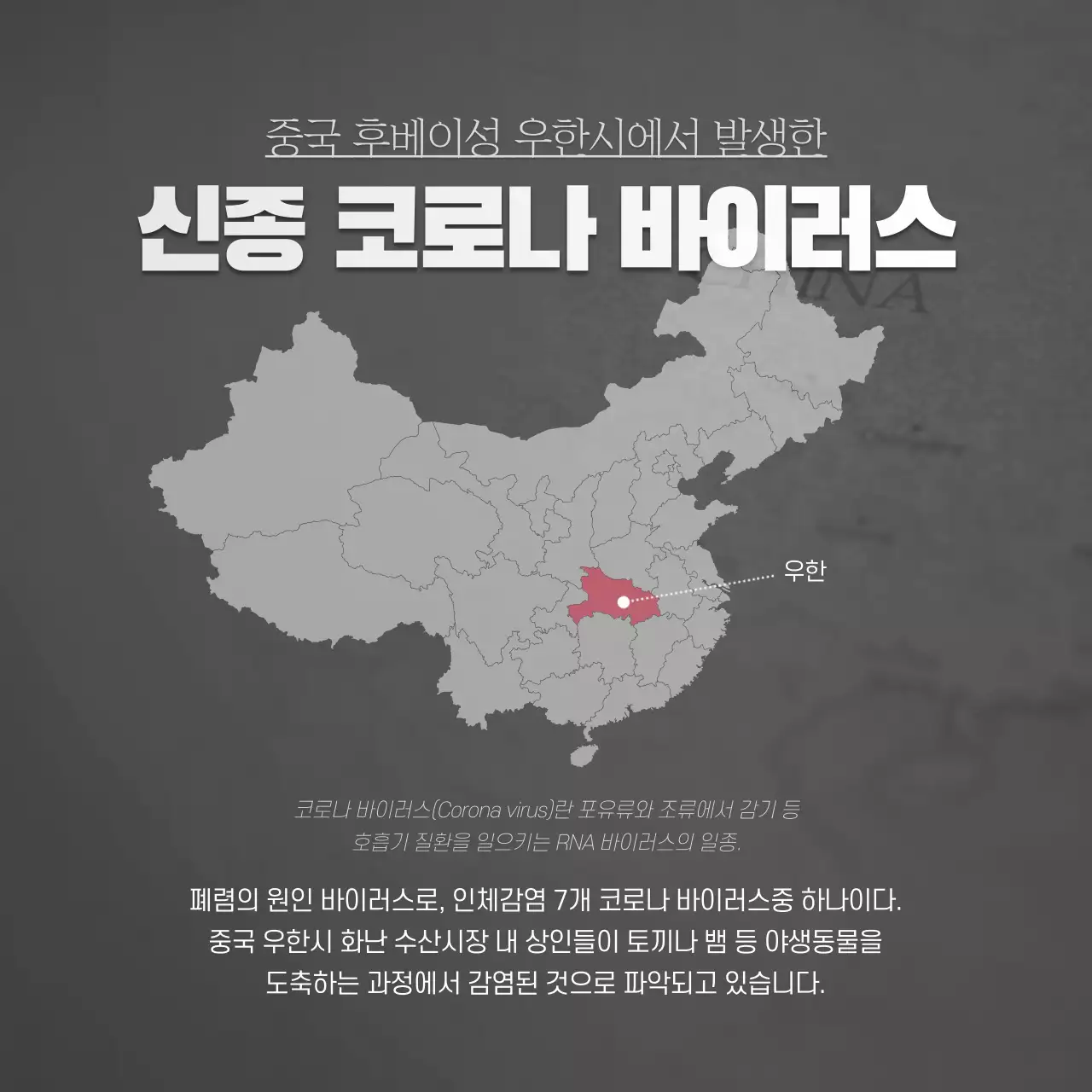 코로나 바이러스