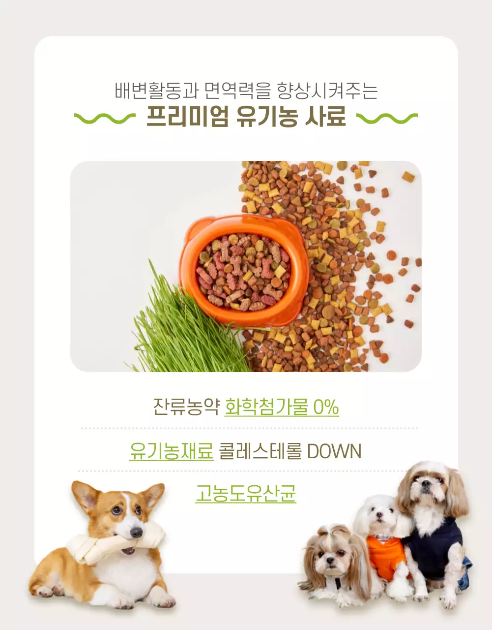 반려동물 상세페이지