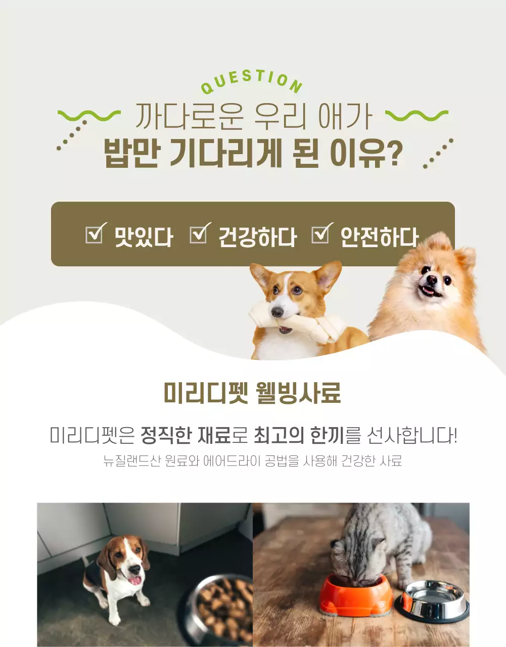 반려동물 상세페이지