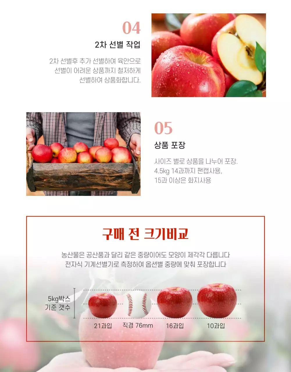 빨간색 깔끔한 사과 농수산물 판매(상세페이지)