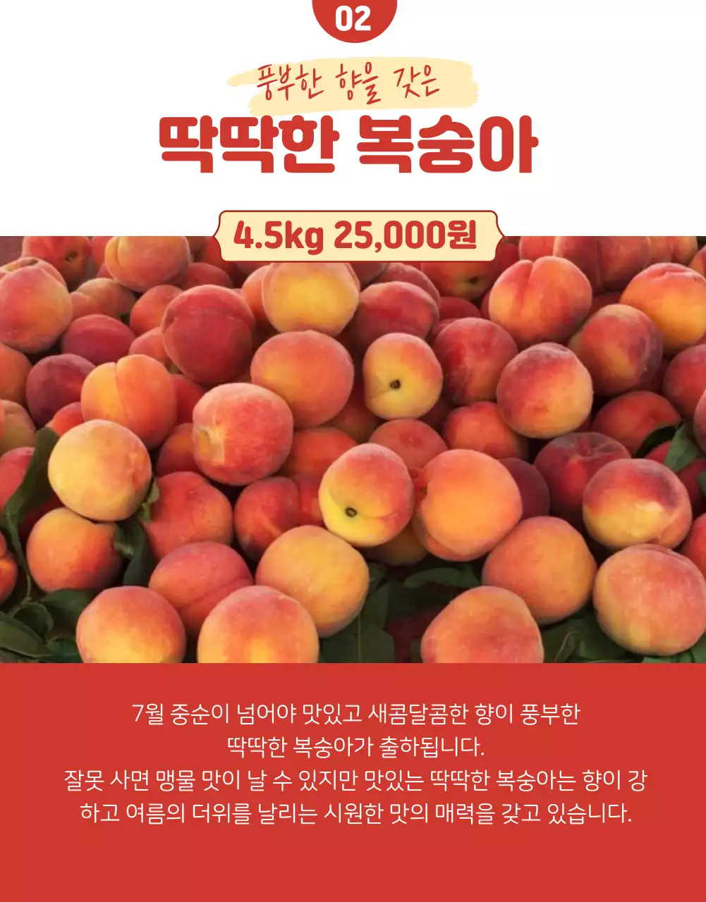 복숭아상세