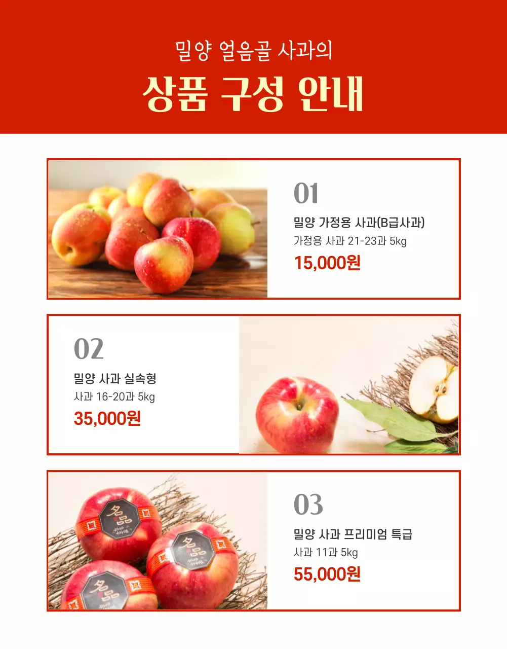 빨간색 깔끔한 사과 농수산물 판매(상세페이지)