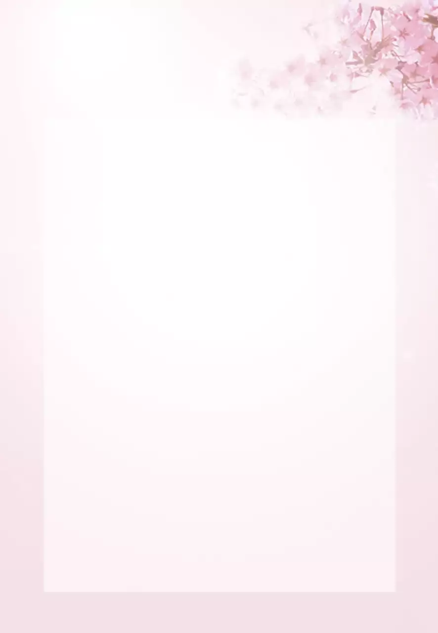 분홍색 화사한 벚꽃 이미지  