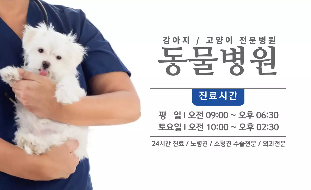 진회색 블루 사진 동물병원 진료시간 안내  홍보