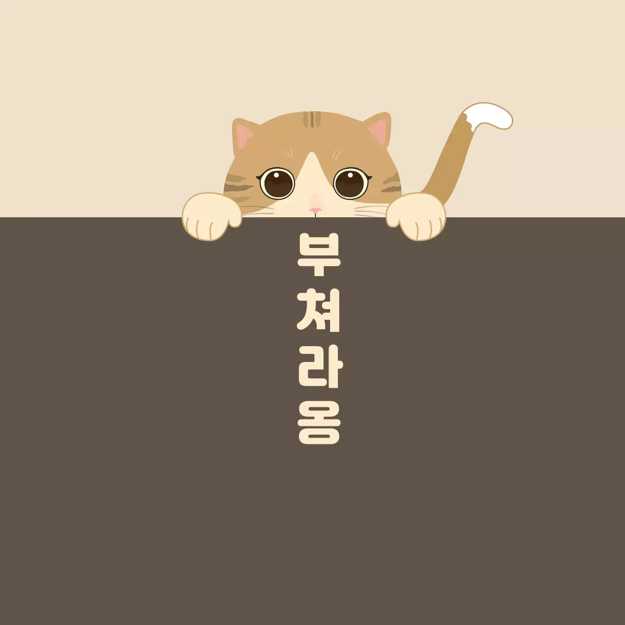 고양이