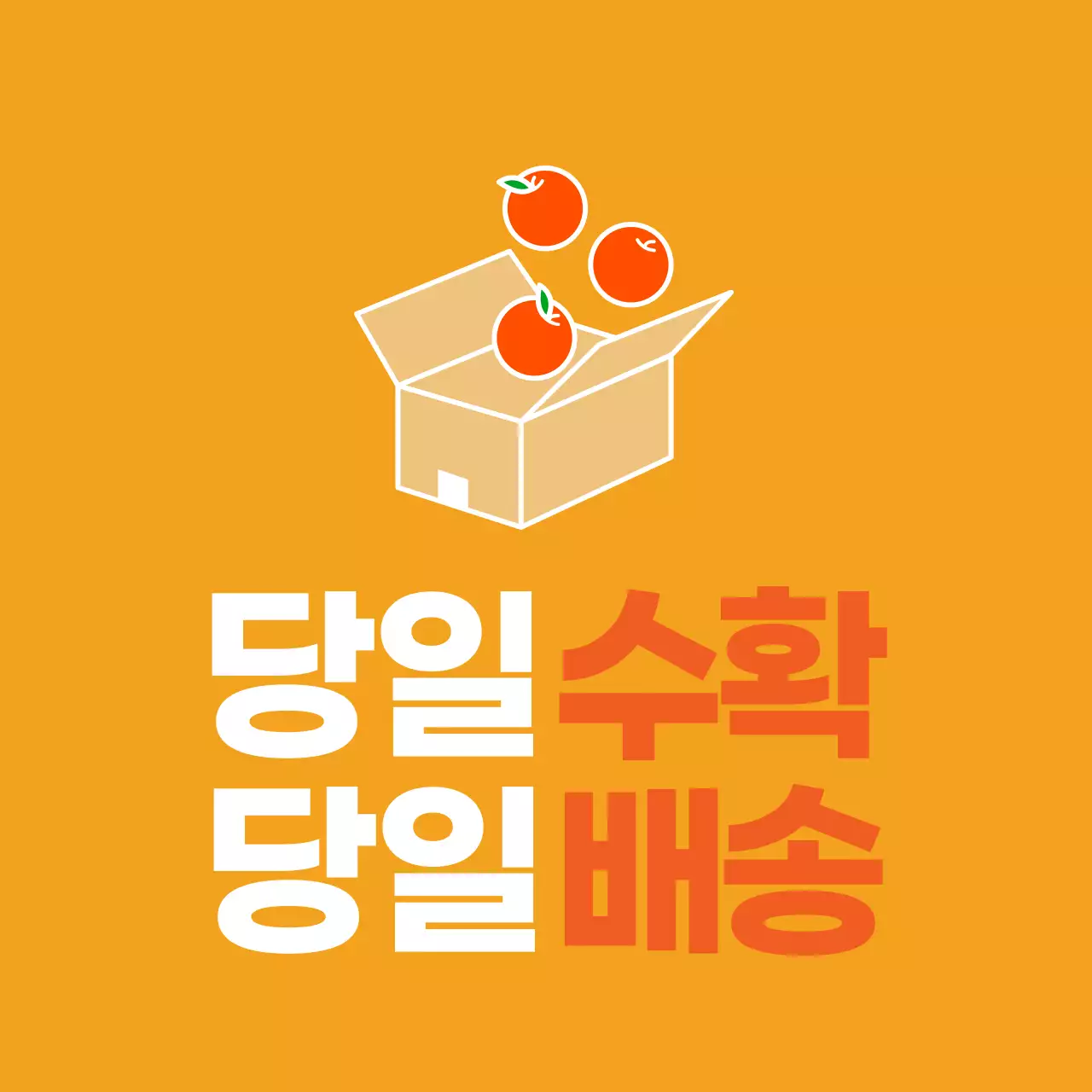 농산물_당일수확