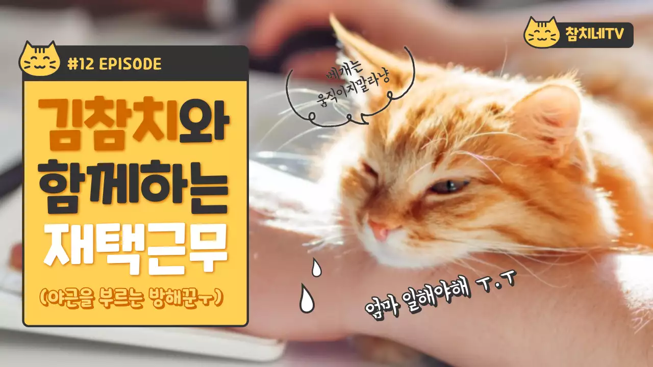 펫튜브_고양이강아지