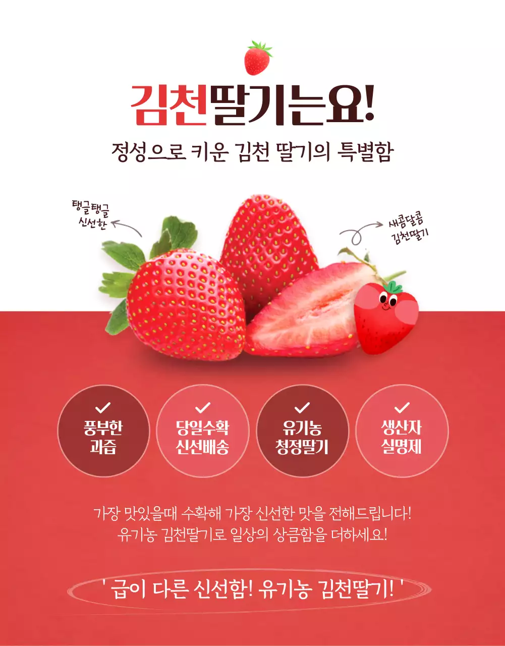 빨간색의 깔끔하고 귀여운 컨셉의 과일판매