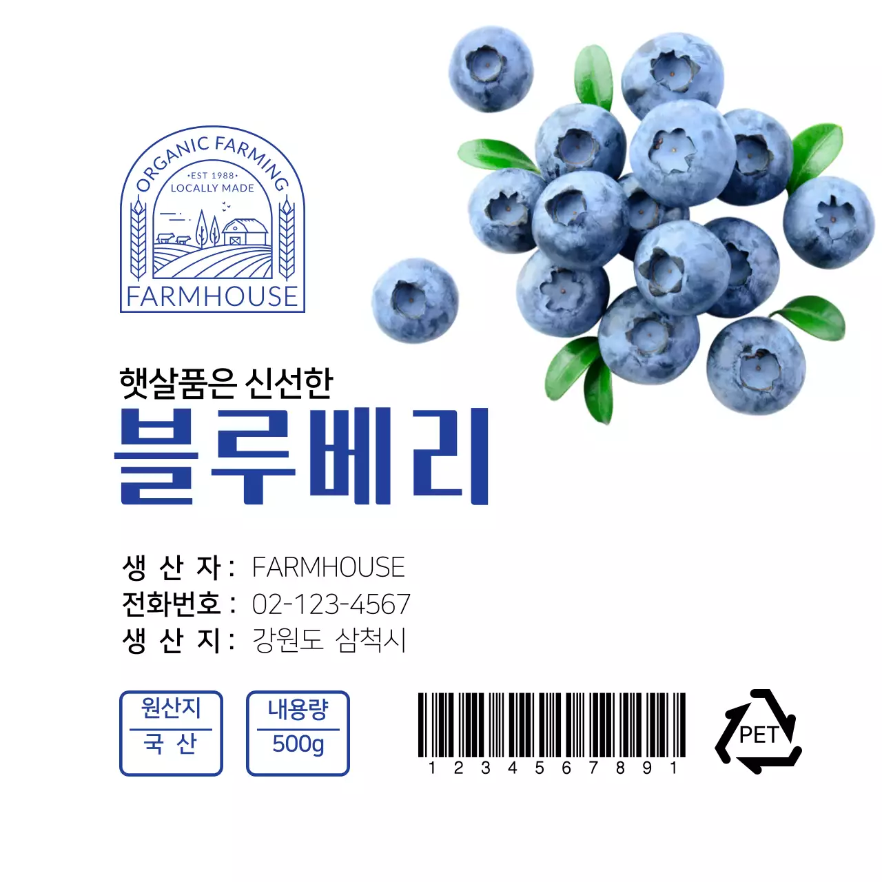 흰색 파란색 깔끔한 블루베리 라벨