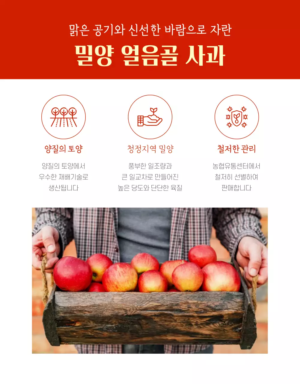 빨간색 깔끔한 사과 농수산물 판매(상세페이지)