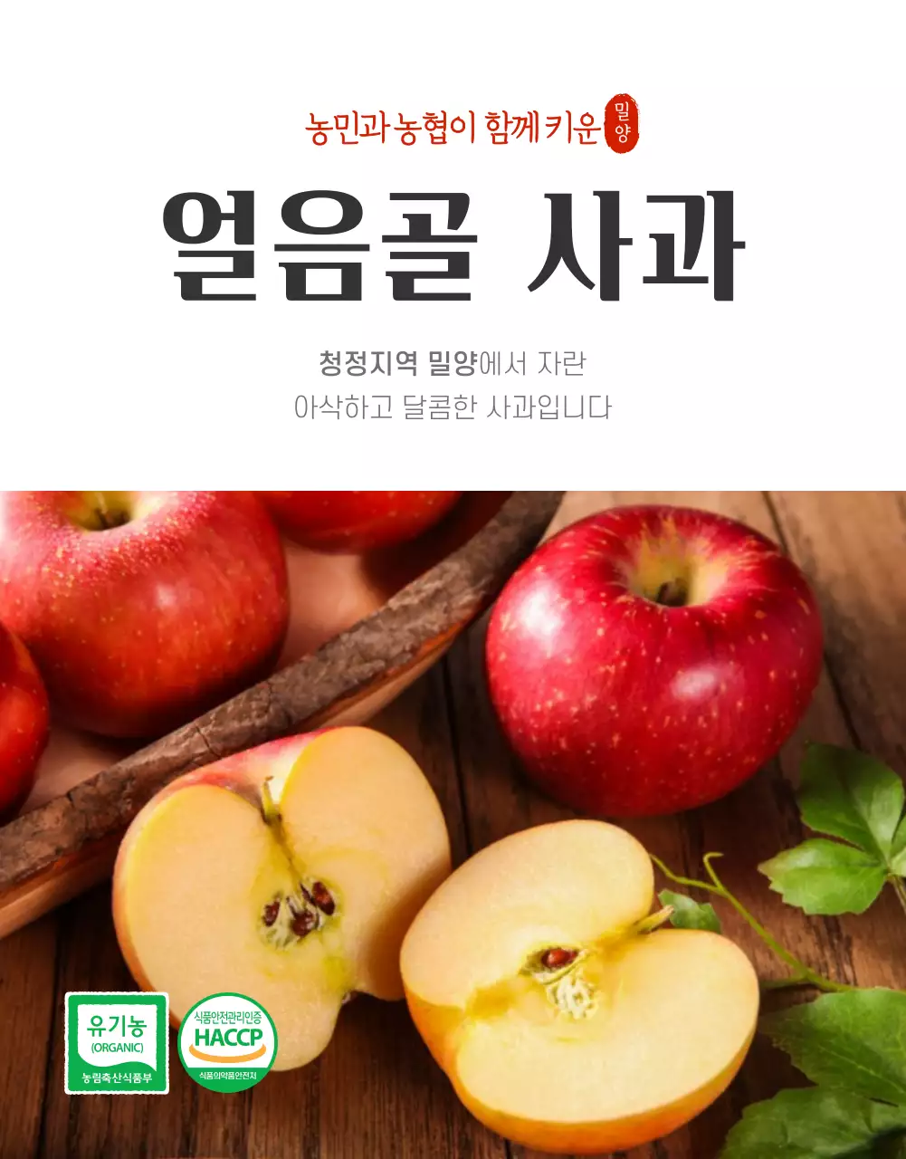 빨간색 깔끔한 사과 농수산물 판매(상세페이지)