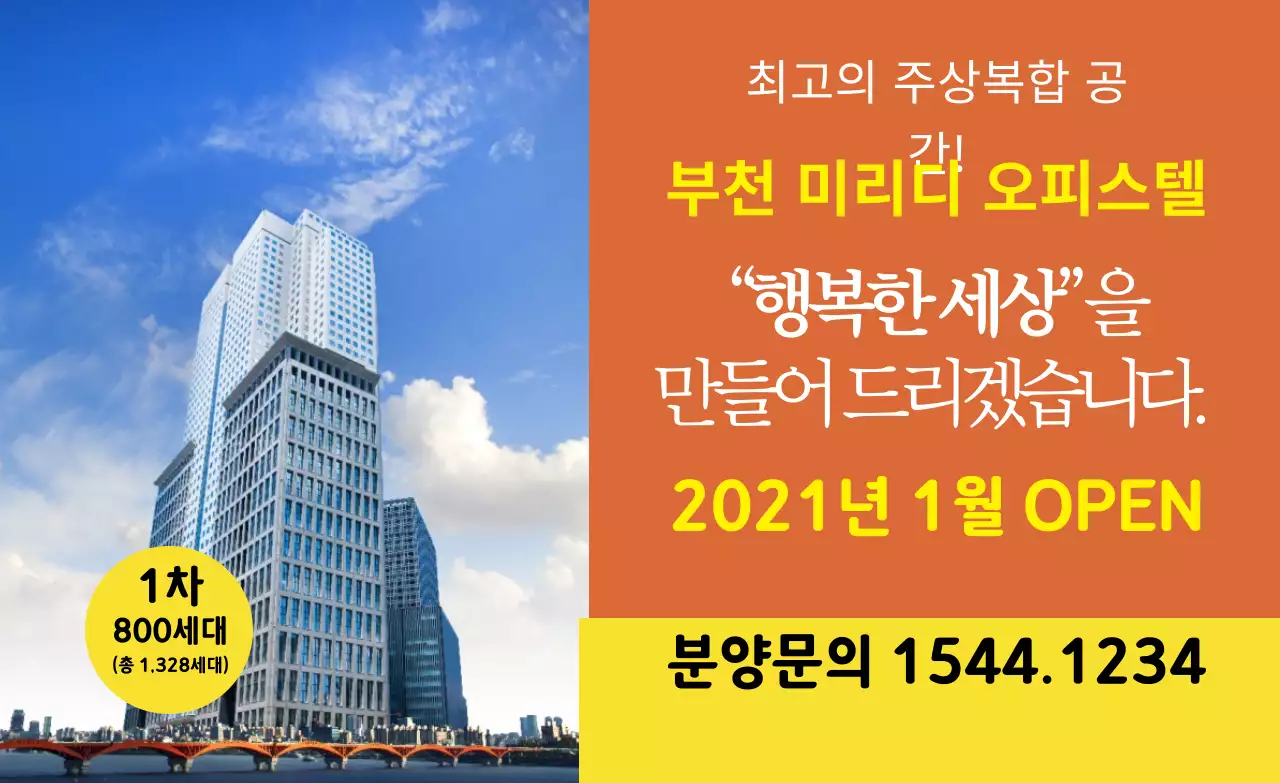 주황 노랑 사진 분양문의 홍보